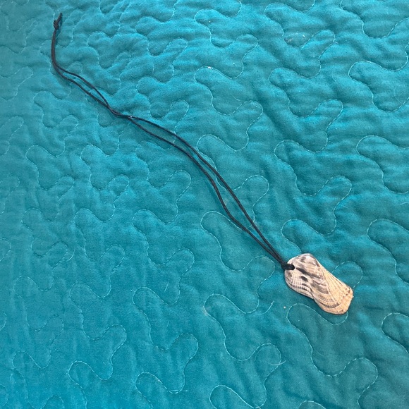 Sea shell - Picture 1 of 2